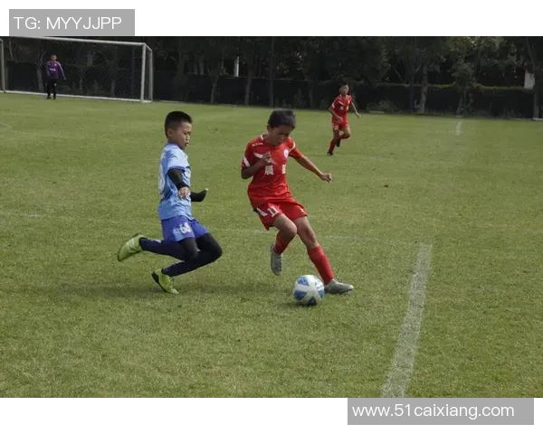 足球之楚歌：在绿茵场上追寻梦想与荣耀的心灵独白